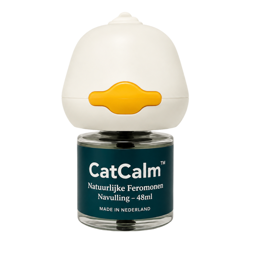 CatCalm
