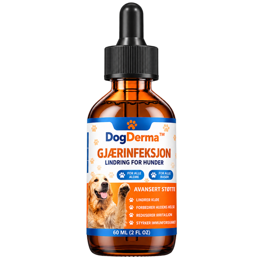 DogDerma